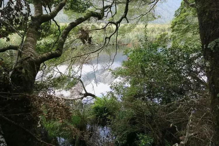 新西兰南岛有哪些城镇的湖,新西兰姊妹湖在哪里