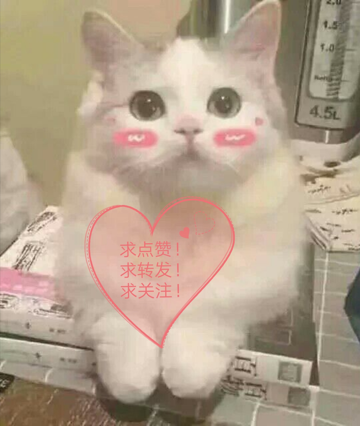 口红推荐平价小众不是唇釉,平价小众唇釉