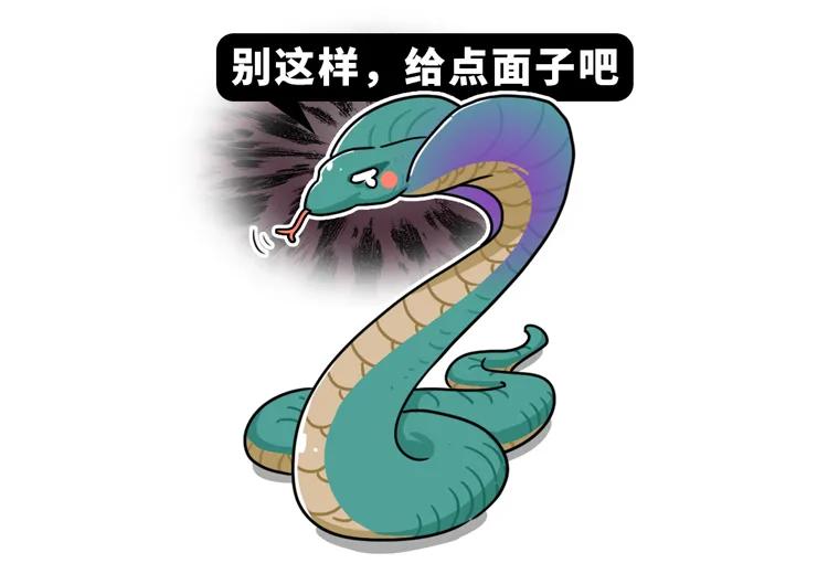 非洲大地最狂动物，动物园里连狮子毒蛇都有，偏偏没有它平头哥