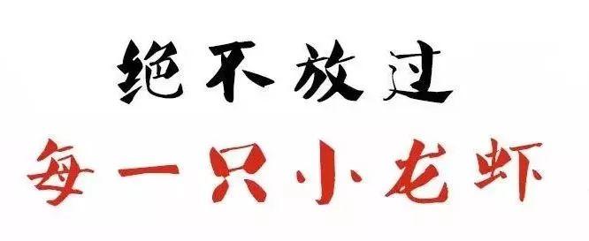 宜春潜江小龙虾,宜春潜江龙虾