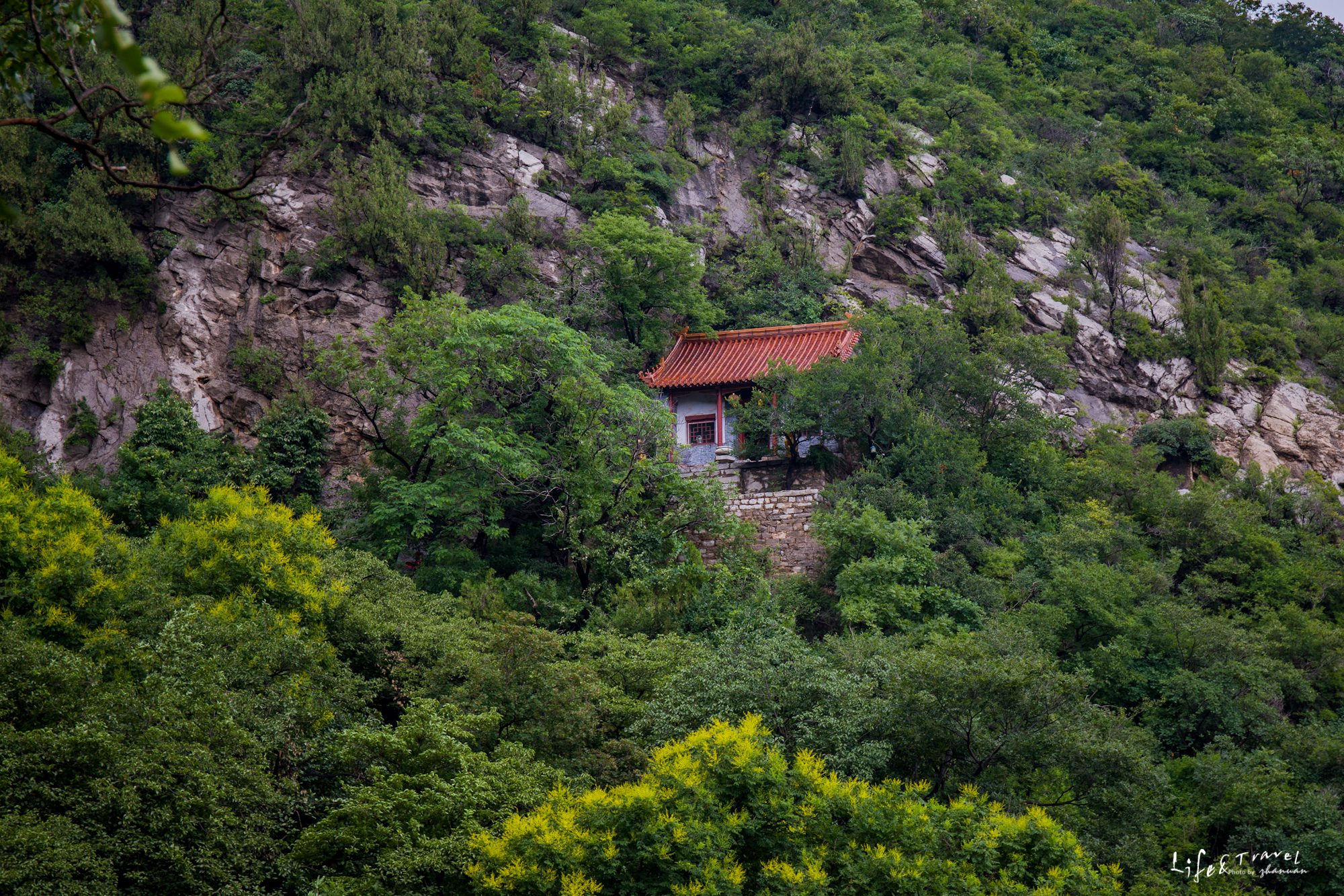 淄博看红叶的免费景点,淄博看红叶不用爬山的免费景区