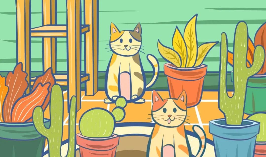 积累夏天的好词好段,描写夏天的好词好句好段和唐诗