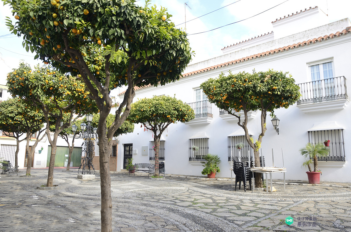 院子适合种的花和设计,庭院设计植物大全