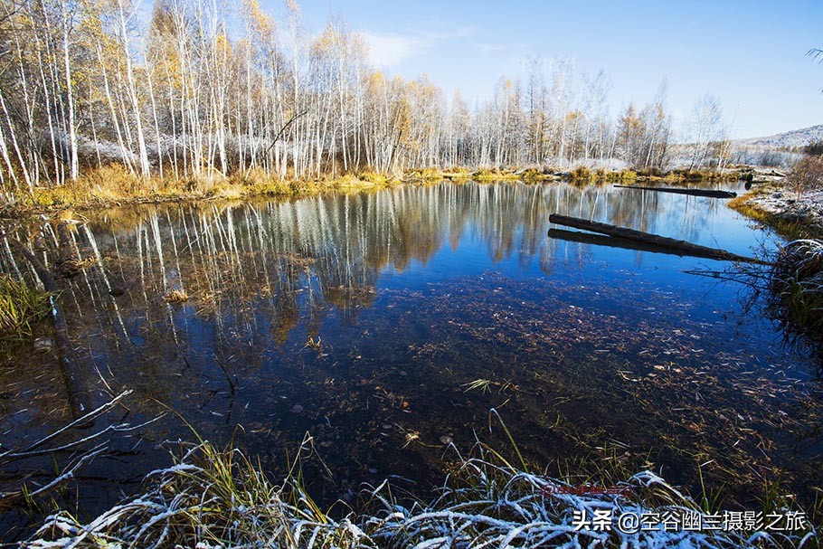 在莫尔道嘎,我遇见了最美的秋雪