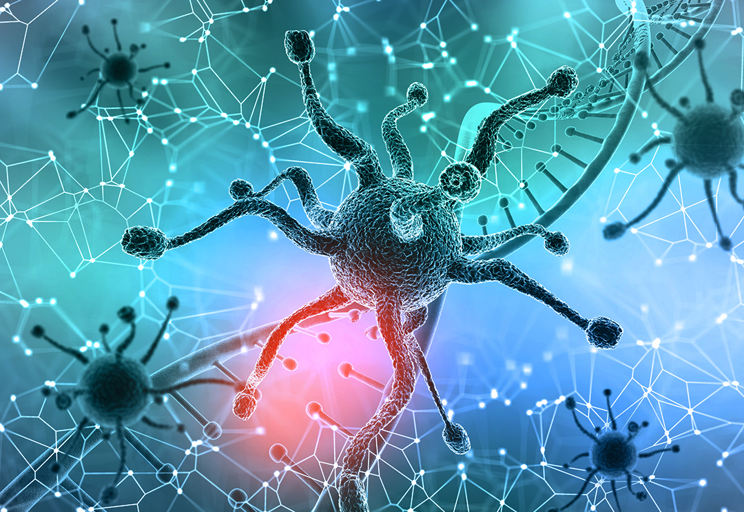 我梦到丧尸病毒爆发了,我梦到丧尸爆发了