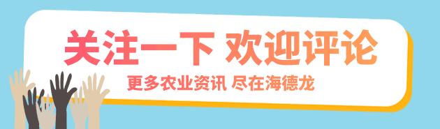 土豆很多小疙瘩是什么原因,怎么让土豆少结薯