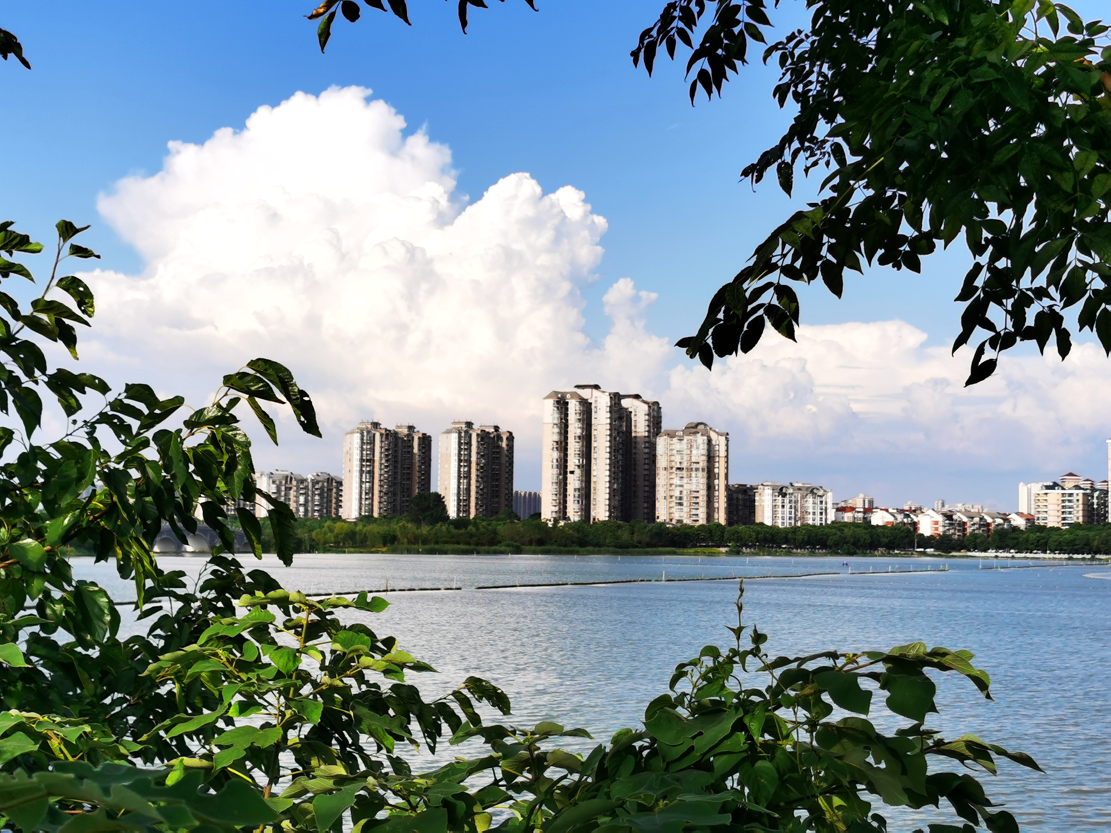 沉睡的历史与惊艳的现实——走读东西湖