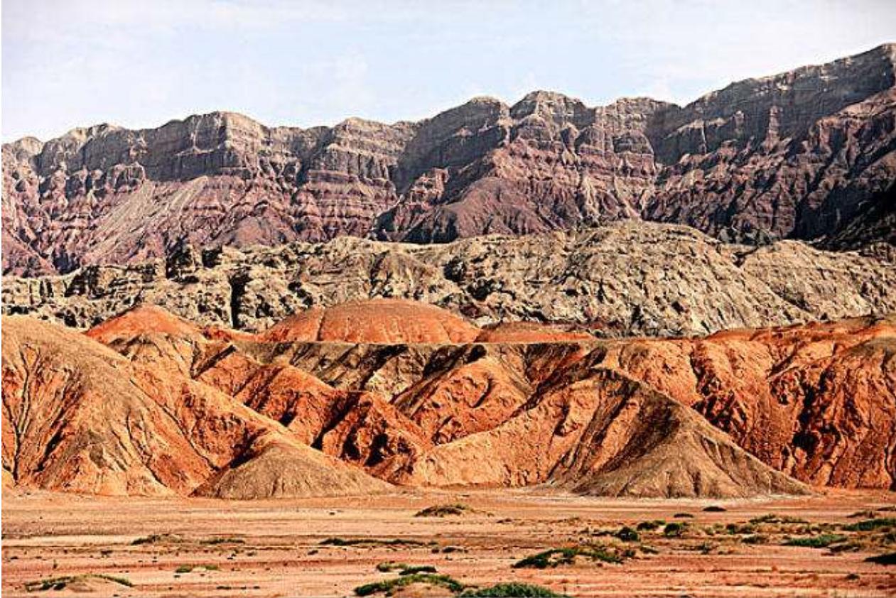 鐤嗘柊鏂囧寲,鏂扮枂浼藉笀鍘夸冀甯堢摐浠锋牸