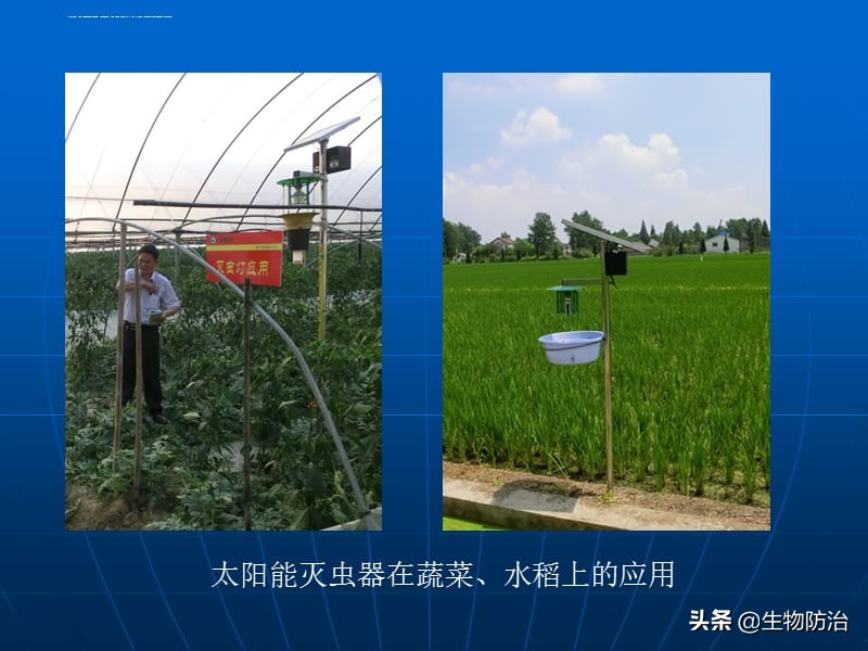 农业有害生物的防治方法,有害生物绿色防控