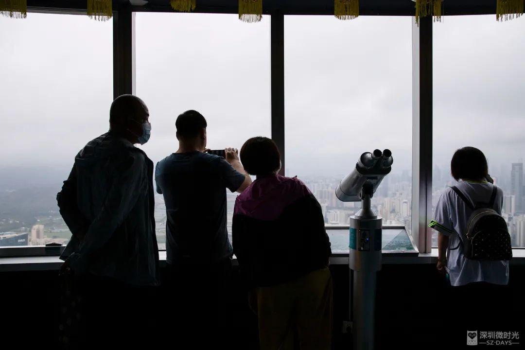 深圳攻略一日游免费,深圳日结导游