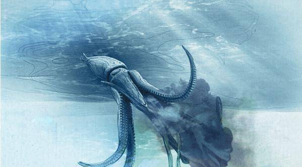 章鱼智商能统治世界吗,章鱼的智商有多少