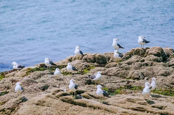 一生必去的中国50个最美原图,一生必去40个中国最美地方