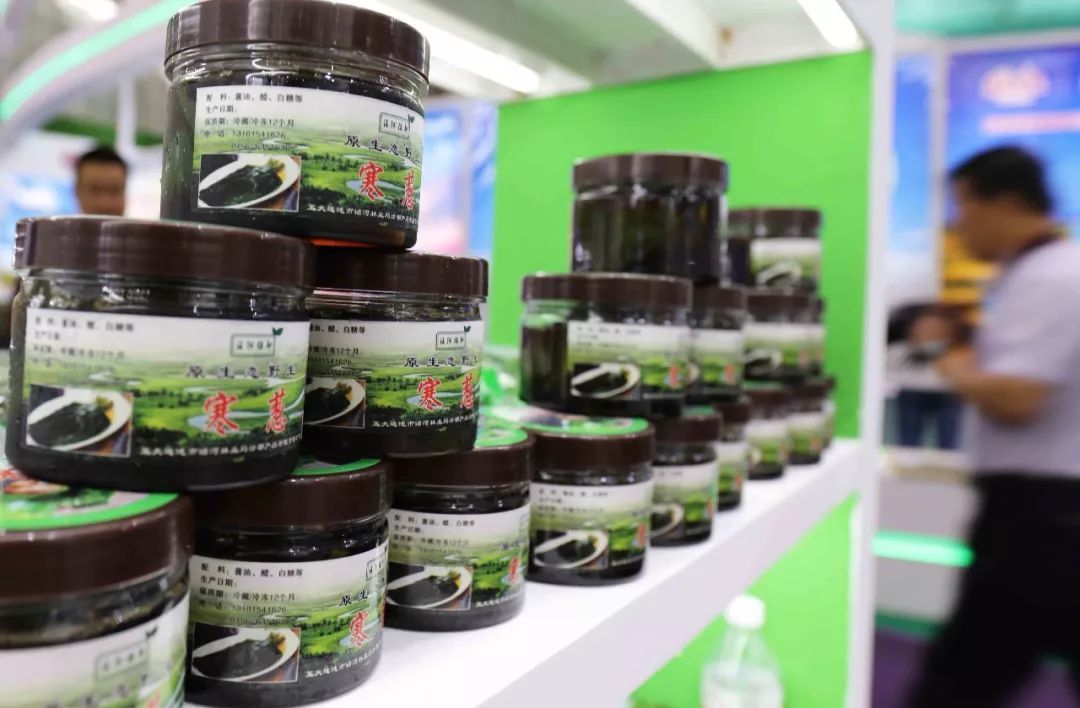 农村懒汉山上野菜移栽田地，发誓成为镇里首富，出口国外挣外汇