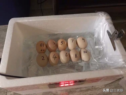 在农村赚钱门路很多,农村20万的生意