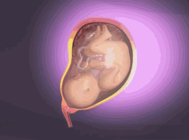 临近预产期见红会一直流血吗,别慌意思是什么