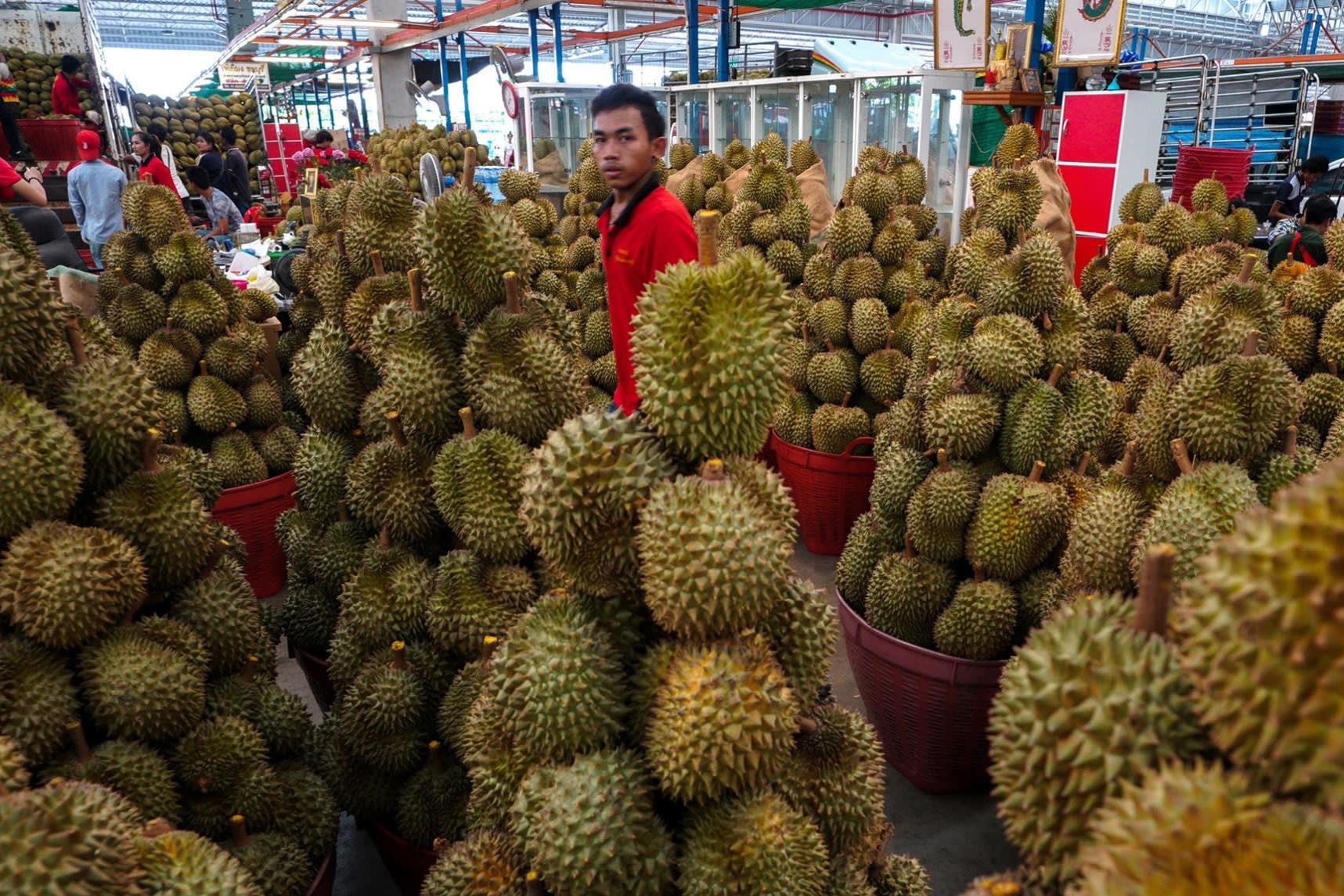 榴莲猫山王和金枕哪个核大,干尧榴莲跟金枕榴莲猫山王