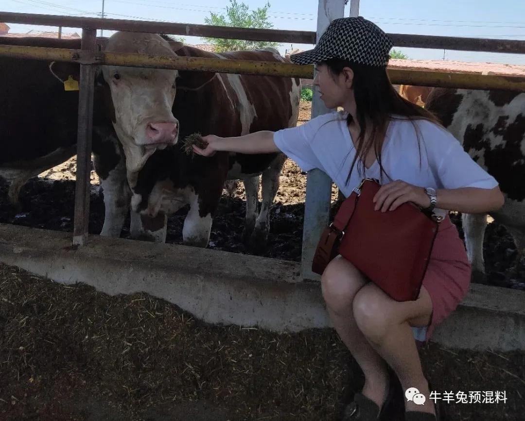 养殖场雨雪天气如何防范,水产养殖暴雨前后注意什么