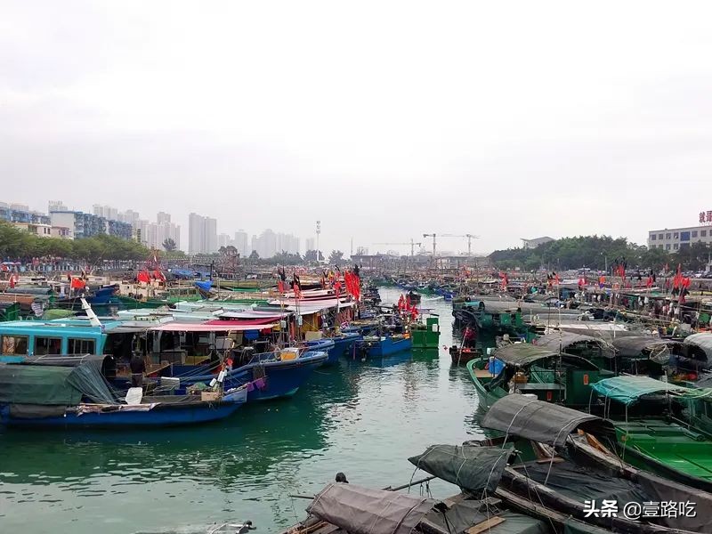 北海|报告！没遇到传销组织，只有吃不尽的海鲜美食