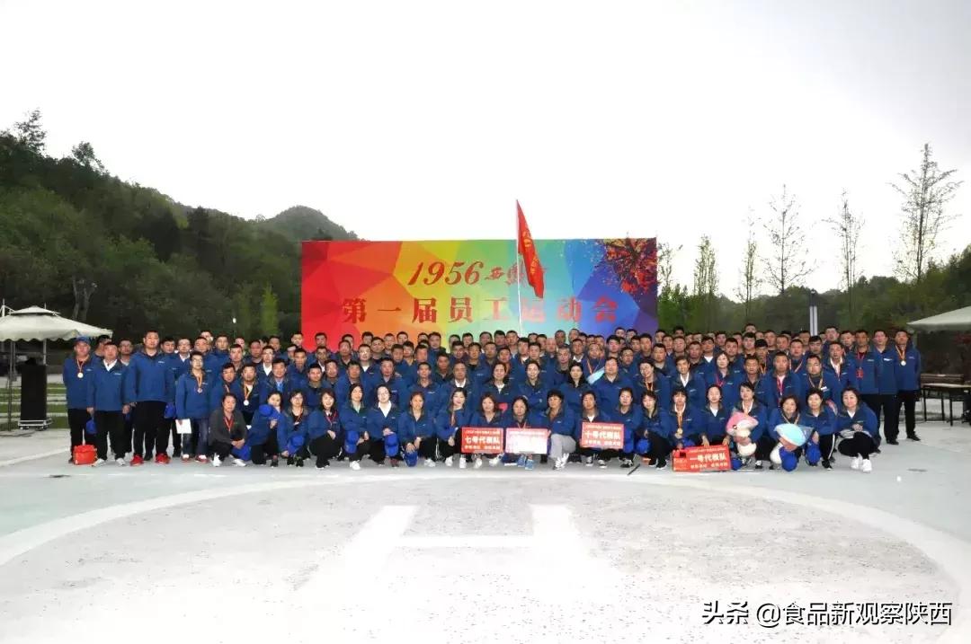 西凤酒厂奖励优秀员工,西凤酒全国五一劳动奖状