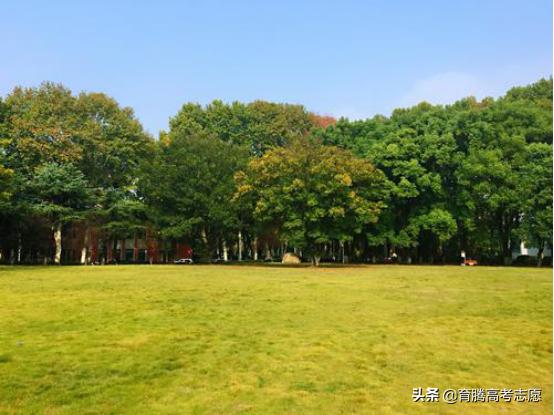 中国最好的三所师范类大学