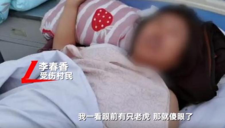 野生东北虎遇到人会主动攻击吗,为了自保杀死东北虎违法吗