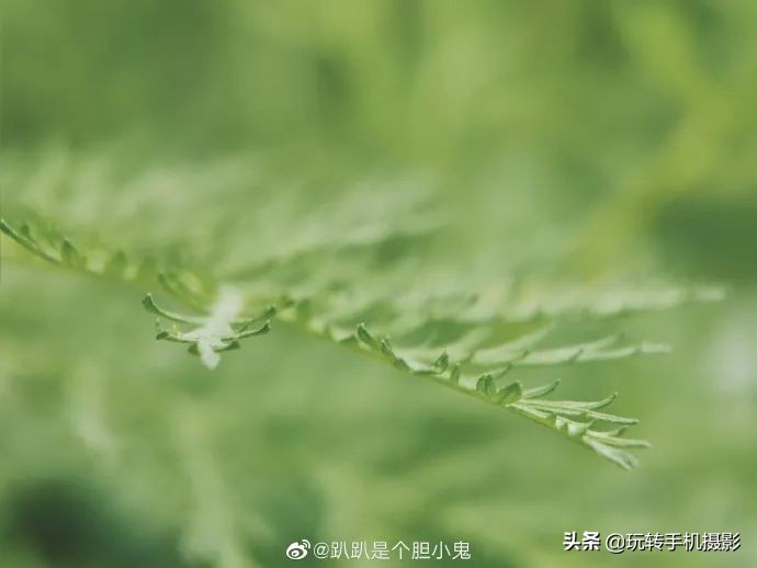 小米手机拍不了横屏照片,小米手机拍不出原有颜色