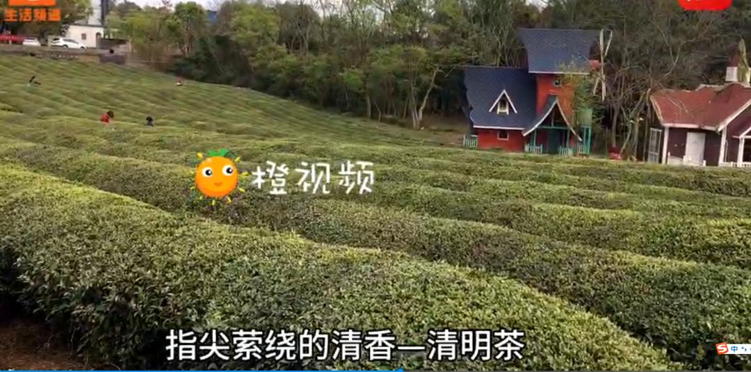 芜湖县红杨镇旅游,芜湖红杨古镇