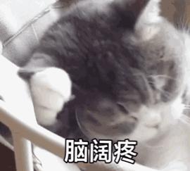 2019年哪天结婚好日子,2019年结婚日子哪天好