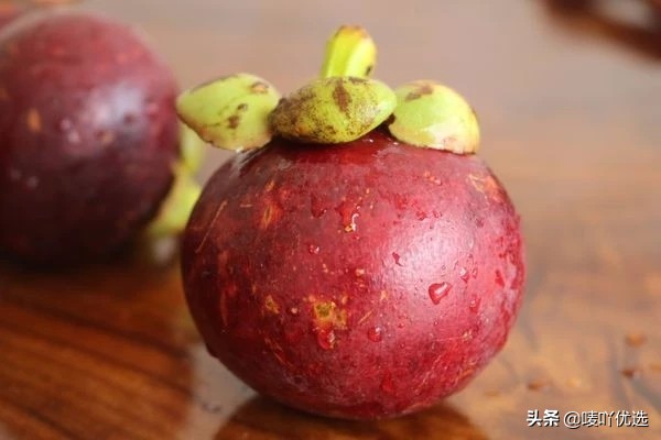 山竹油竹麻竹红叶怎么区分,山竹麻竹油竹瓜竹都是怎么区分的