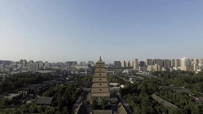 紫色的长袍,紫色衣服兵马俑