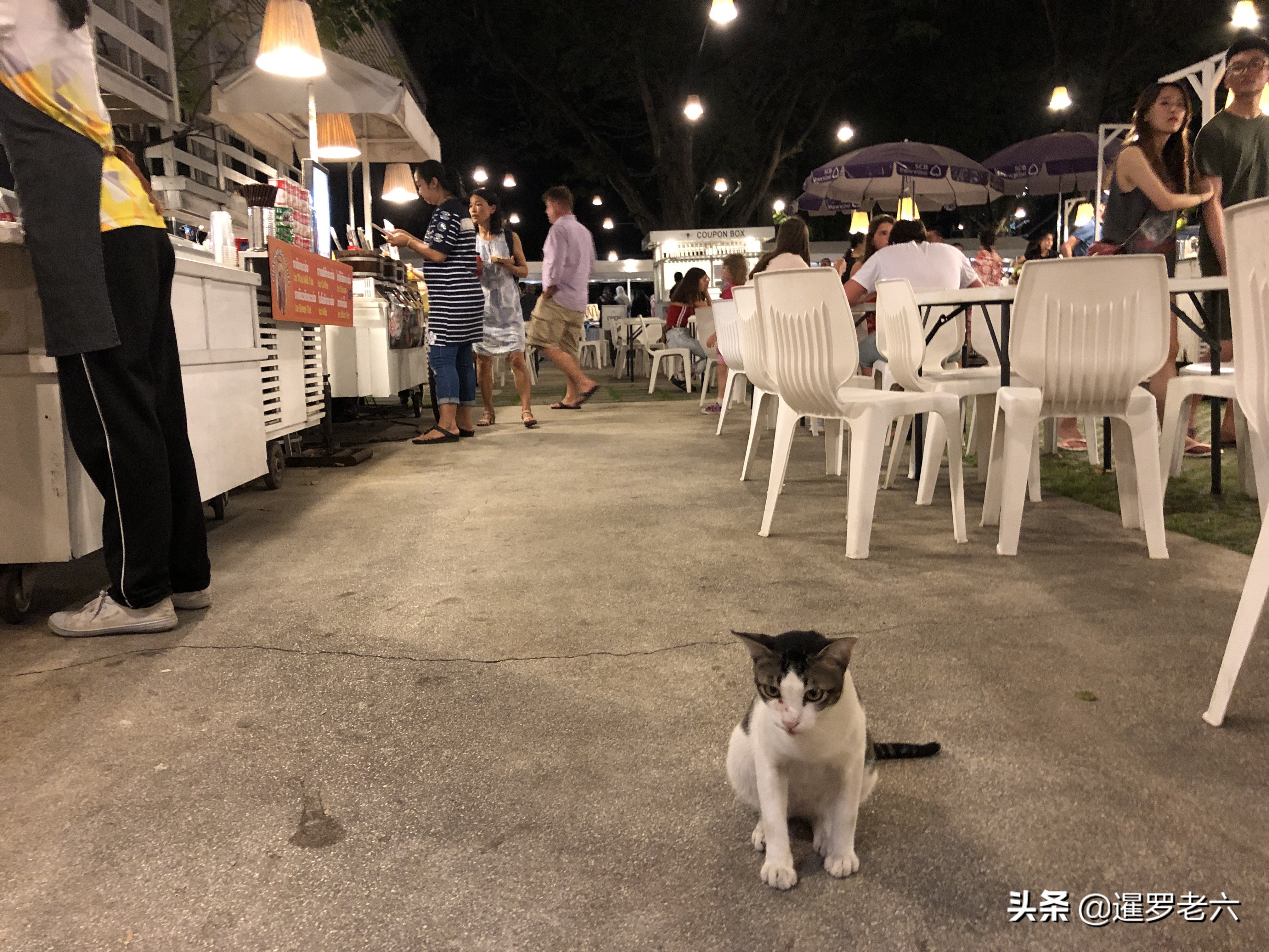 去泰国华欣浮潜,泰国华欣到普吉岛旅游攻略