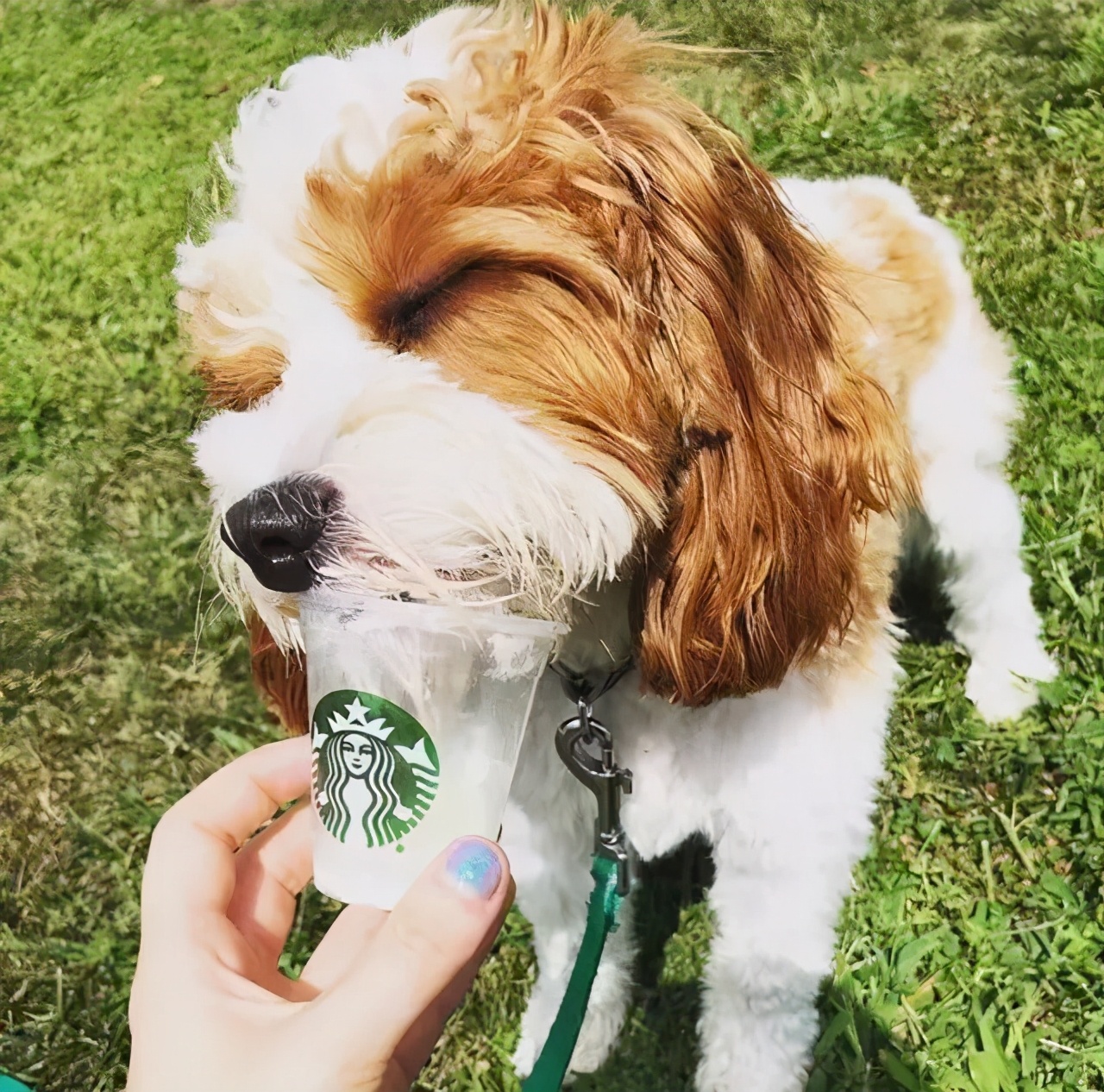 亚洲唯一一家星巴克工厂店,世界十大最具特色星巴克