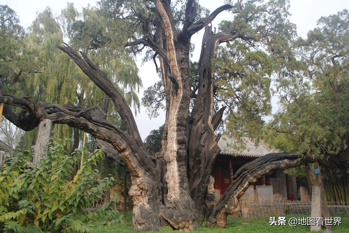 涓囪浇鍘垮湴鍚嶇殑鏉ュ巻,涓囪浇鍦板悕鏉ユ簮