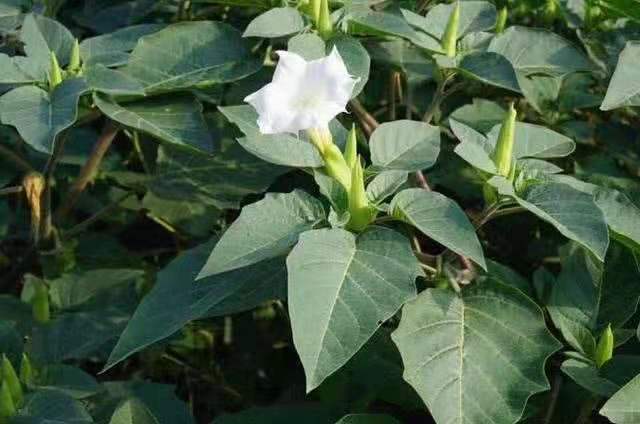 配送中心管理制度全套,配送中心规划与管理课程