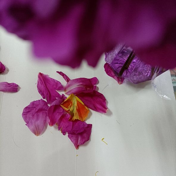 母亲节一束康乃馨的仪式感,母亲节是温馨的康乃馨