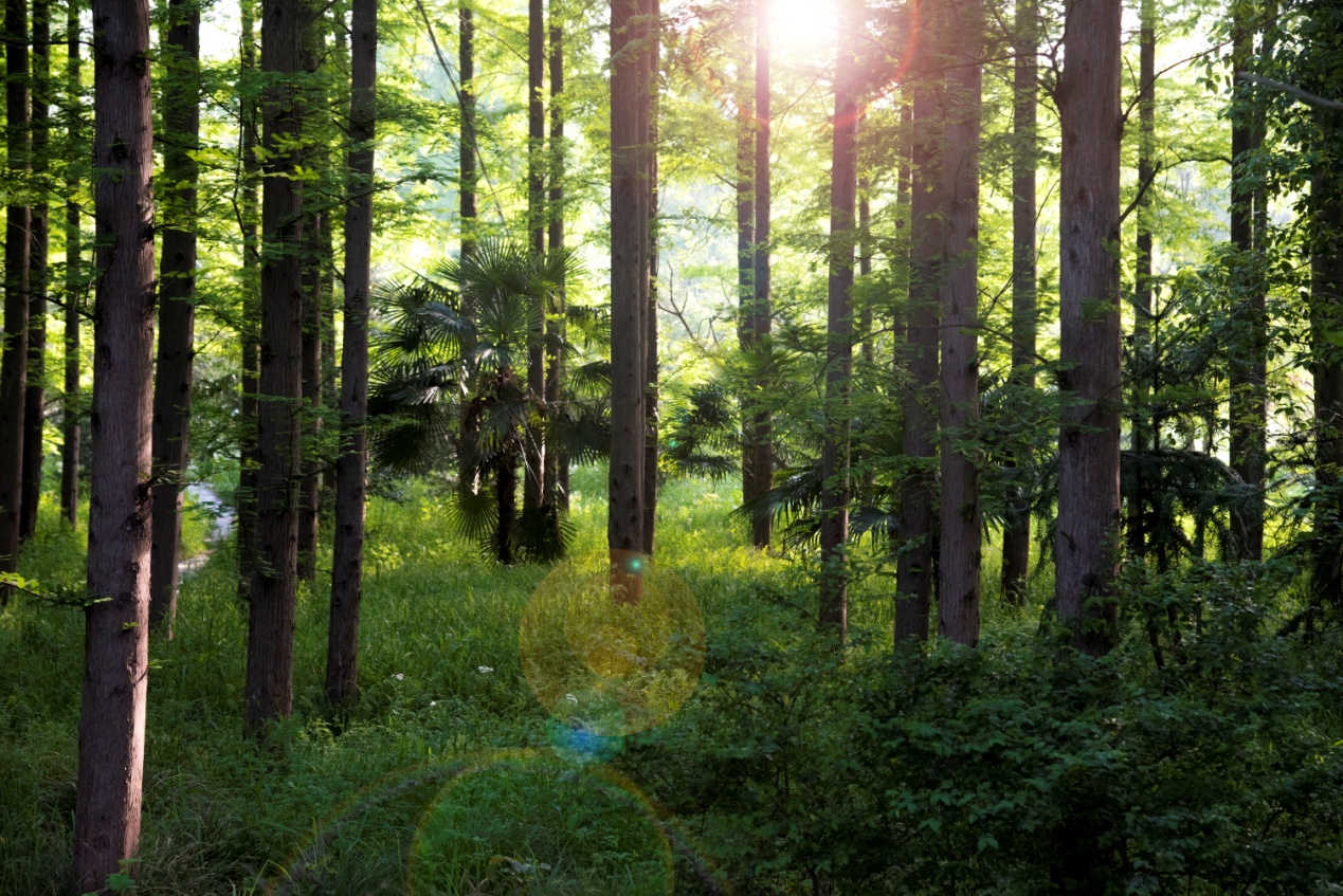宁波三月踏春好去处有哪些,宁波春季旅游好去处