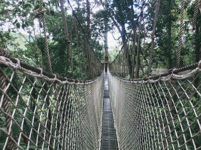 云南不止有风花雪月的苍山洱海,去西双版纳感受傣族民族风情