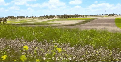 2019必去的旅行地,8月最新旅行地推荐