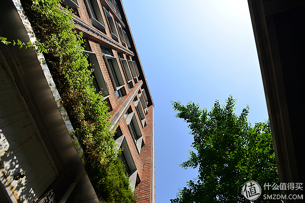 专业摄影师必备的定焦镜头,只选一只人像定焦镜头推荐