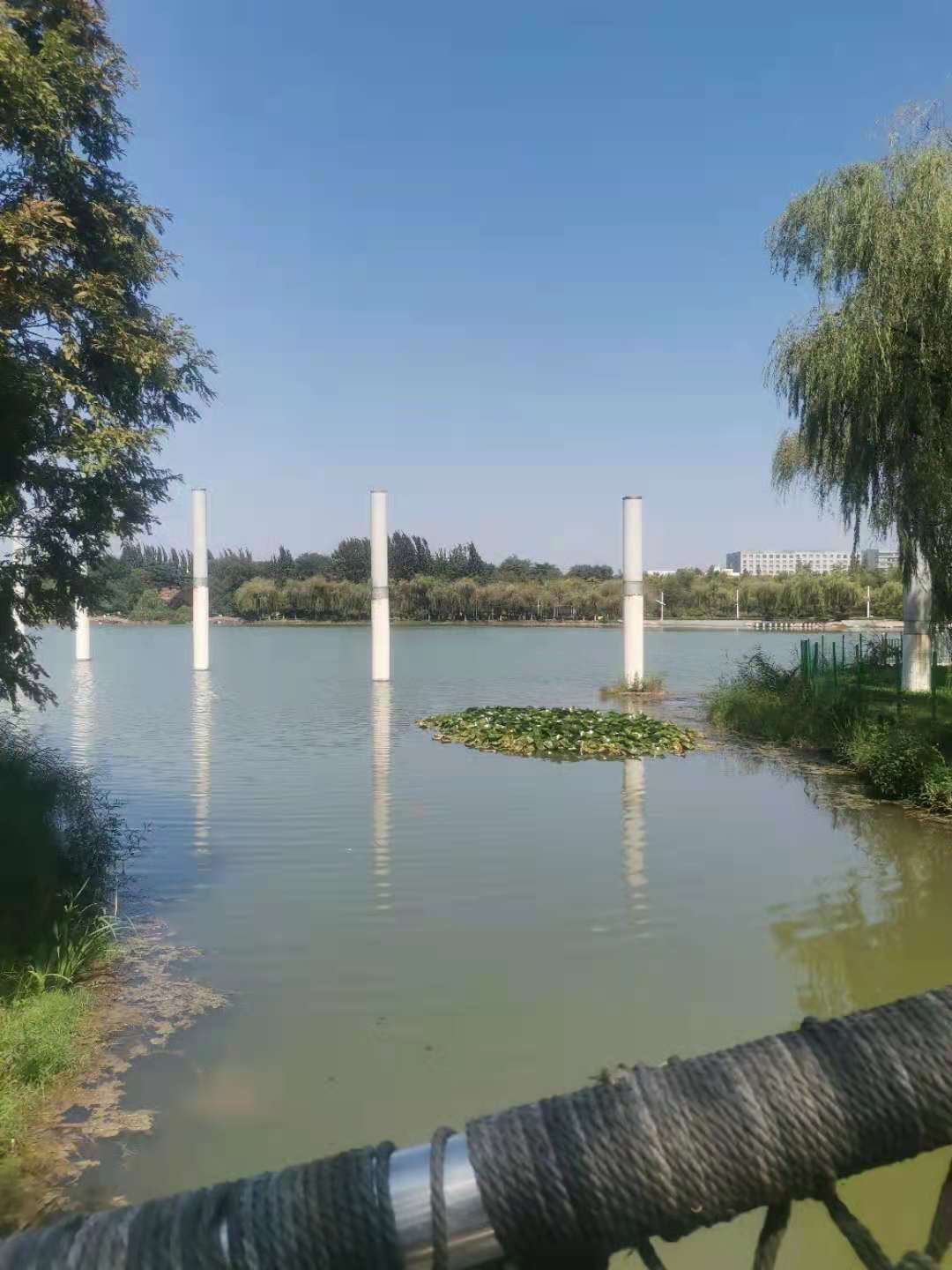 青岛城阳世纪公园,青岛世纪公园在哪