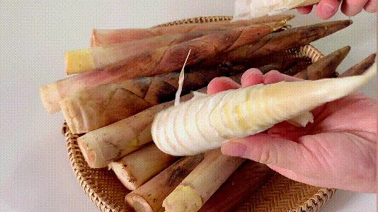 腌制山竹笋怎样炒好吃,拌山竹笋的做法大全