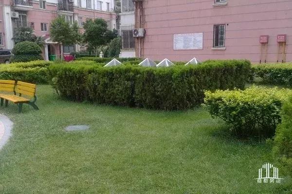 郑州二七区人和路小学怎么样,郑州二七区十大公认最差的小学