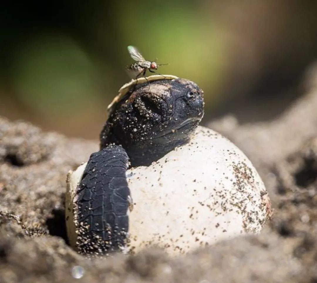 一场生命的冒险,一场关于勇气的冒险
