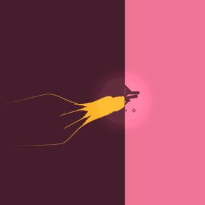 动物的英文词汇汇总，你最喜欢哪种动物？