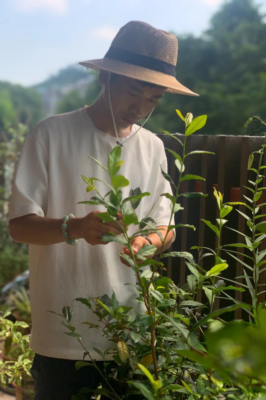 靠一片绿叶带乡亲致富，这位老兵的创业之路太牛了！