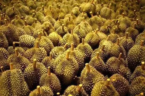 朋友圈免费试吃活动,朋友圈免费试吃广告