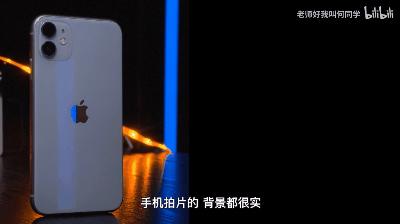 b站鸽王有哪些,b站up主鸽子