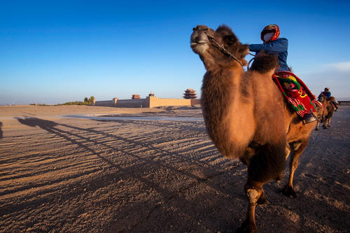 古代丝绸之路都有啥产品,古代丝绸之路最重要的商品