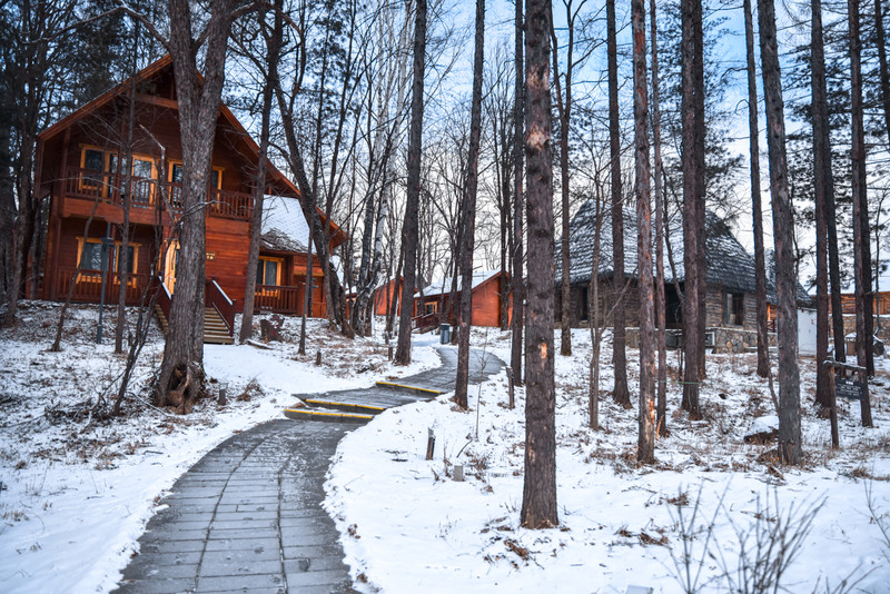 冰雪总动员简介,冰雪总动员