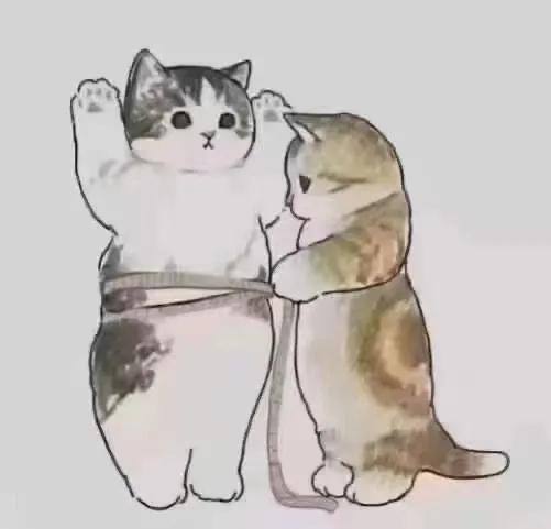 相形见绌！鲁能95小妖卖了2000万，恒大主力后腰却无人问津